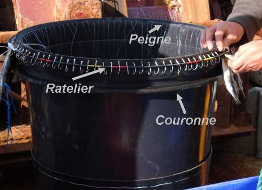 LONGLINE STORAGE TUB FILEHOOK